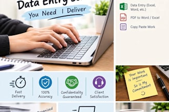 do accurate copy paste, data entry, web research and document formatting