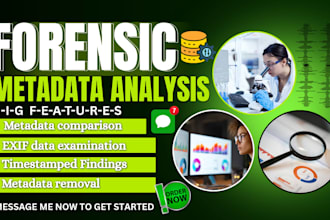 do forensic metadata analysis, file examination and digital evidence report