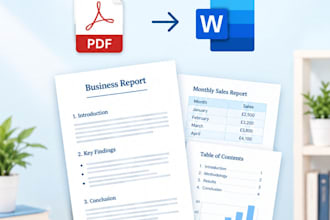 professionally ms word formatting documents and PDF to word