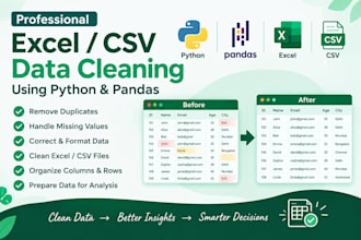 clean and organize your excel or CSV data using python
