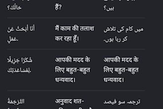 professionally translate arabic to hindi and urdu or vice versa