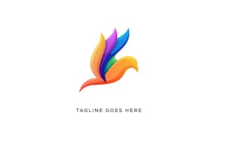 design colorful beauty bird logo