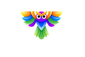 create a colorful bird owl logo design