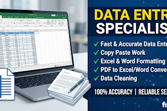 do fast and accurate data entry, copy paste and excel work