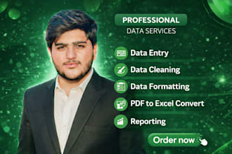 excel data entry formatting