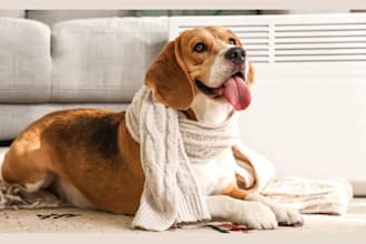 design a pet shopify store and pet supplies website