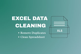 do excel data cleaning, formatting, and remove duplicates