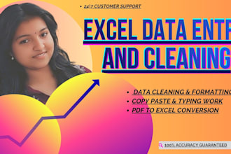excel data cleaning and data entry work professionally