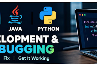 develop and debug c java and python programs
