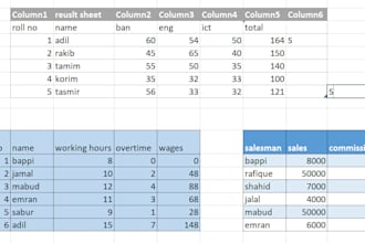 do microsoft excel data entry and spreadsheet formatting
