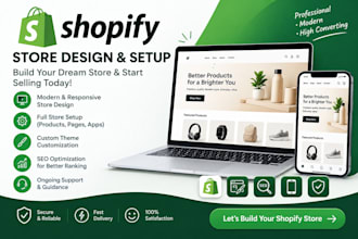 build a professional shopify store