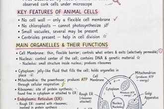 make neat handwritten biology and zoology notes with clear diagrams