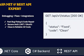 fix bugs, debug apis, and integrate your web application