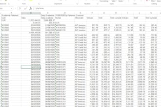 do financial analysis and data management in excel
