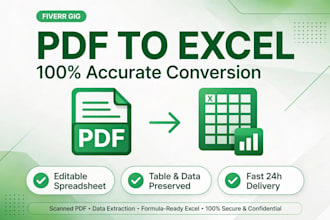 convert PDF to excel, image to excel and do accurate data entry