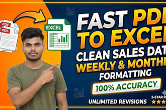 convert PDF to excel, format data, and clean sales reports