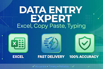 do data entry excel work copy paste and typing
