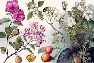 paint custom watercolor botanical illustrations and floral art