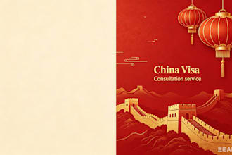 provide china visa consultation and document review service