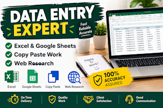 do professional excel data entry and pay sheet management
