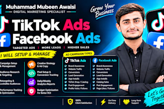 run and manage tiktok ads and facebook ads campaigns