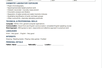 build a professional resume and CV for getting jobs