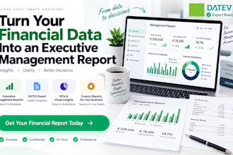 turn your financial data into an executive management report, datev export