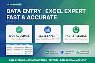 do data entry hospital sheet
