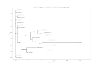 build a phylogenetic tree and analyze your amr gene sequences