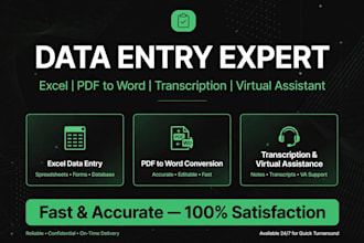 do accurate data entry, excel and tiktok transcription