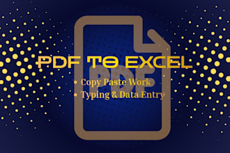 do professional PDF to excel and typing work