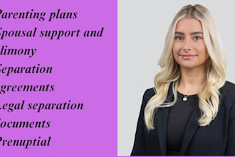 divorce lawyer for child custody, child support, family court and legal document