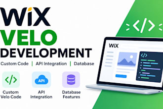 build custom wix velo code API integrations and database features