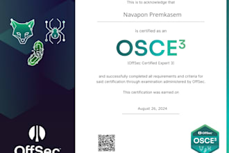 perform web, API, and network penetration testing