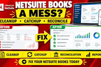 fix netsuite books, cleanup, reconciliation, catchup, reports, errors