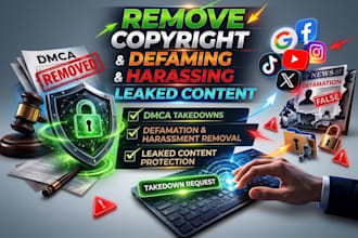 provide dmca takedown service