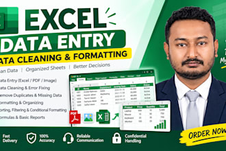 do expert excel data entry, data cleaning, and formatting