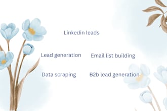 do targeted b2b lead generation and email list building