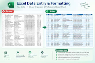 do excel data entry, copy paste, and data formatting