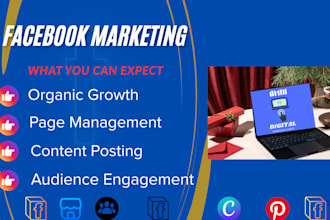 handle your fb page marketing organically