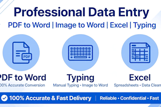 do fast data entry typing pdf to word and excel word