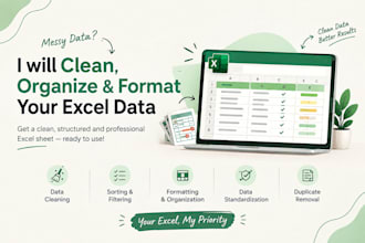 clean, organize, filter and professionally format your excel data