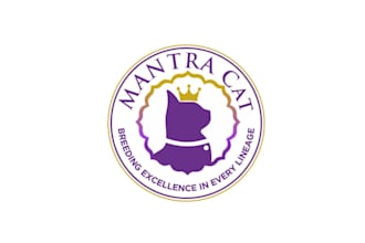 design british short hair cattery logo