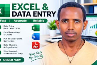 excel and data entery