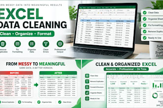 csv to excel and google spreadsheet conversion, data entry