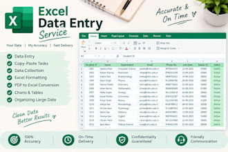 do accurate excel data entry and data cleaning