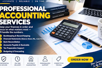 do professional bookkeeping and accounting for your business