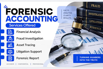 perform forensic accounting for court case, divorce, legal dispute, fraud audit
