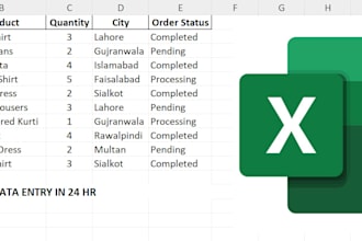 do data entry in 24 hr