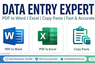 do data entry, image to text, pdf conversion and typing work fast